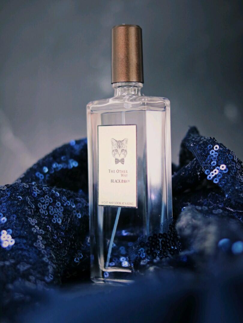 Kevin Lewis tweet media