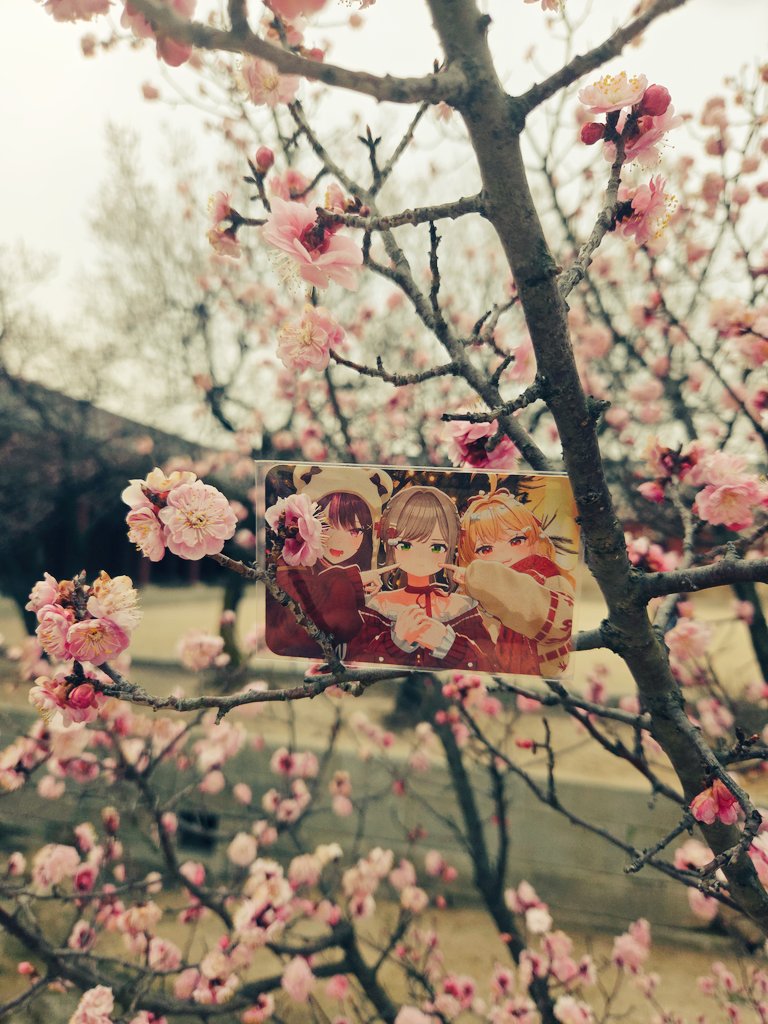 복작노루✧ tweet media