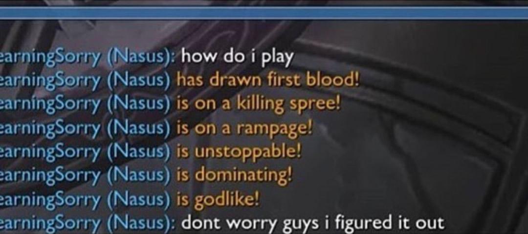 エルズ ⁸¹ 🐨 tweet media