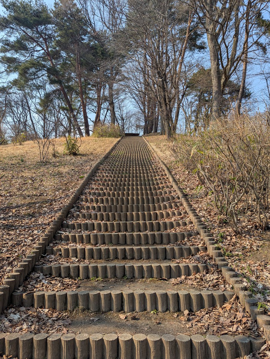 もちもち!!!! tweet media