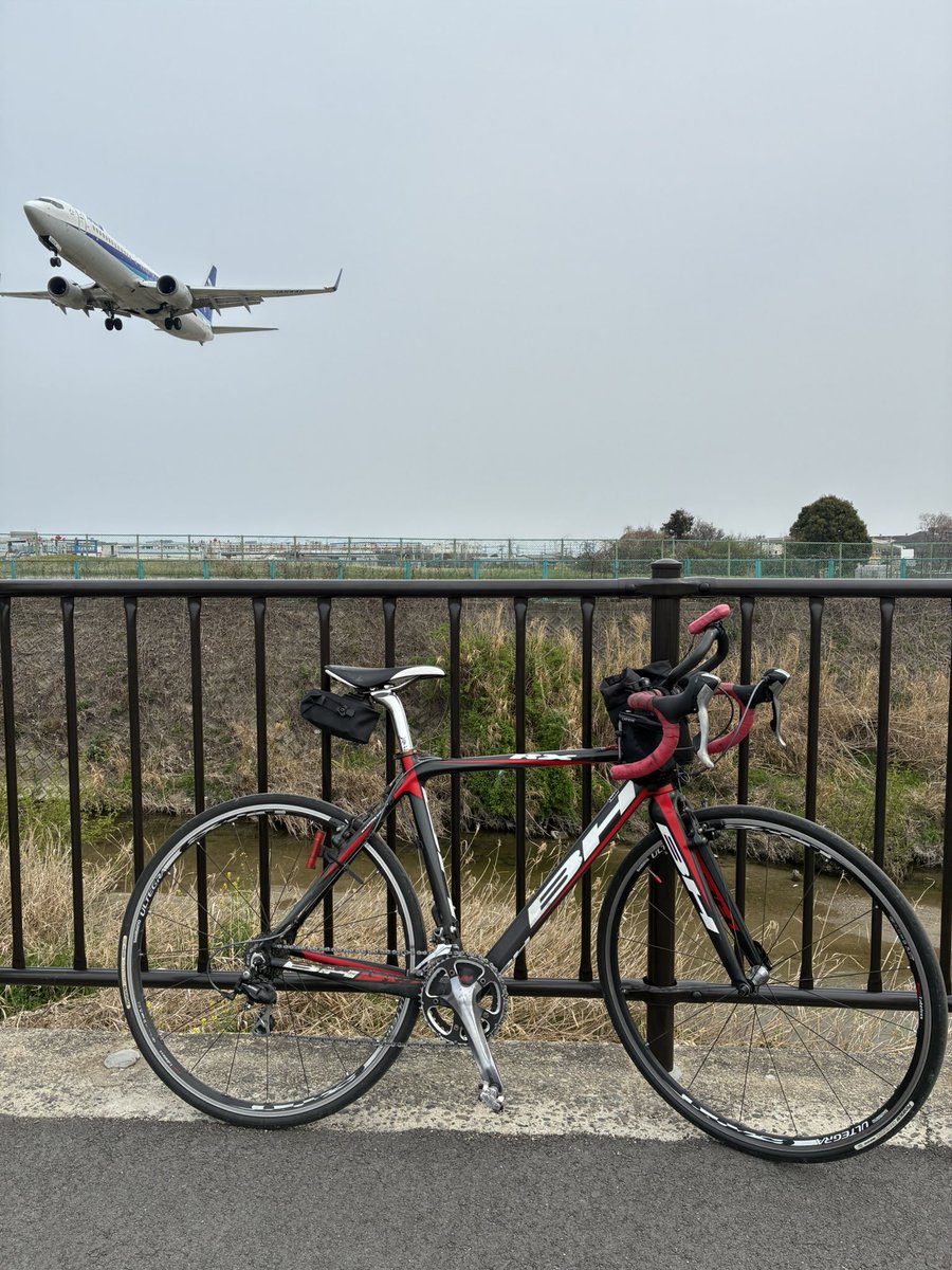 すがにーる 1200/5000、3/12 tweet media