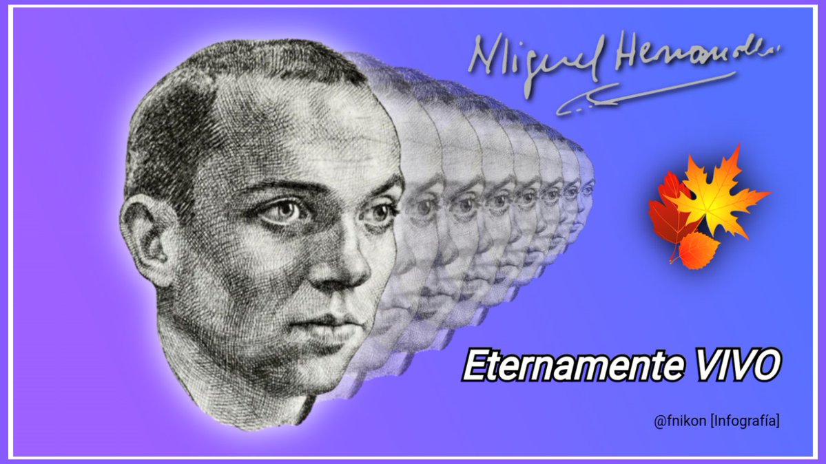 𝙁𝙈2 ☞ @𝙛𝙣𝙞𝙠𝙤𝙣 tweet media