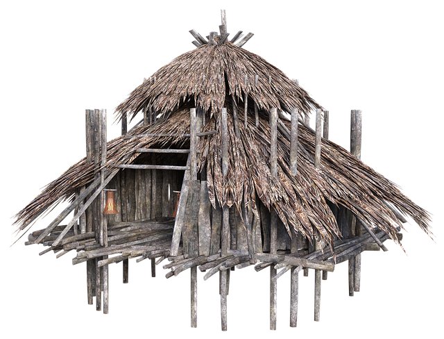 Donna Johnson tweet media