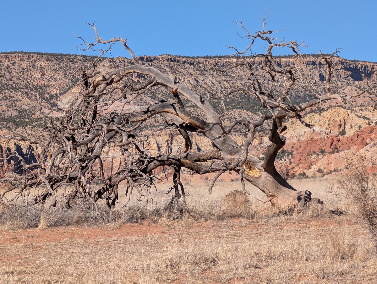 Loralee Logan 🌻🌻🌻 tweet media