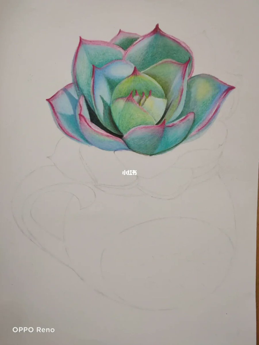 dajana djotlo tweet media