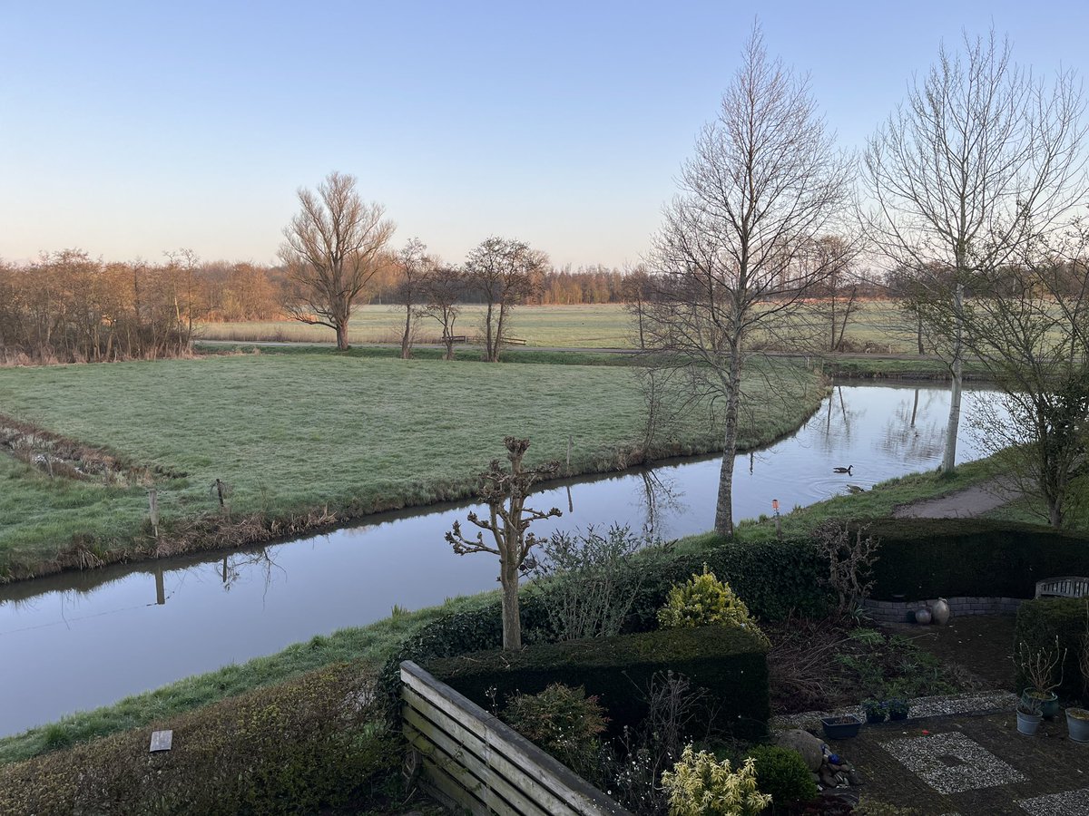 Warner Bruins Slot tweet media