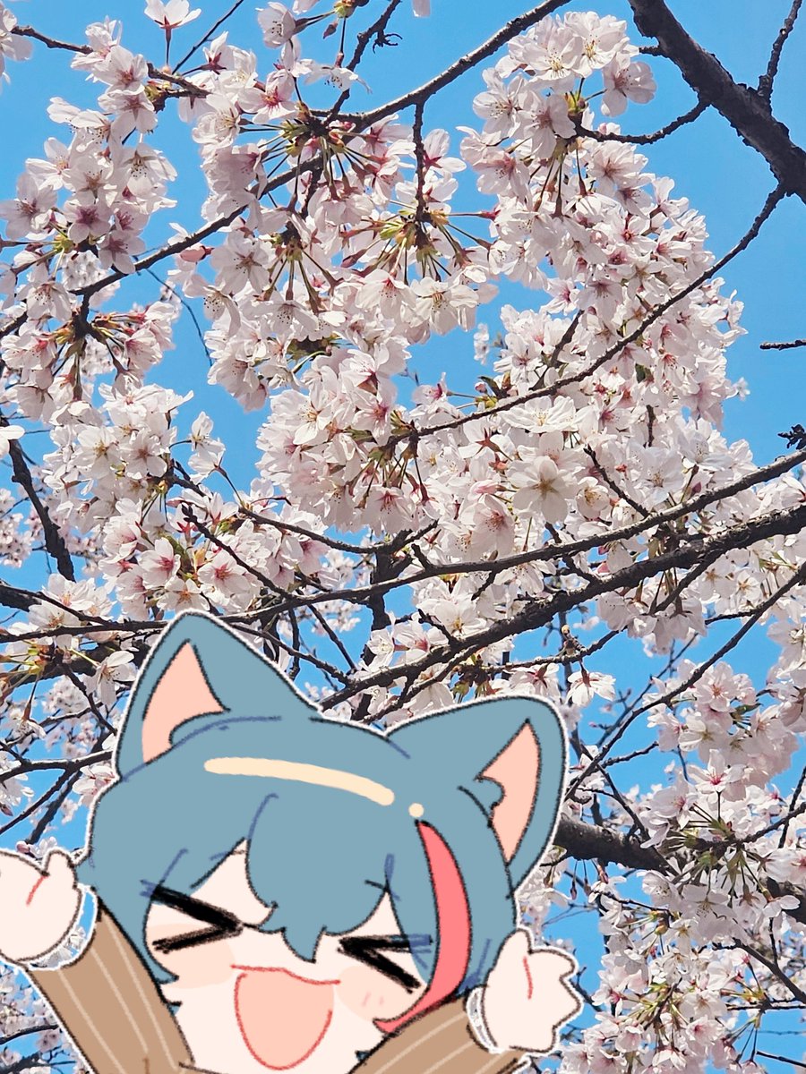 Lucius Merryweather 🖊️🐶 ASTRALINE tweet media