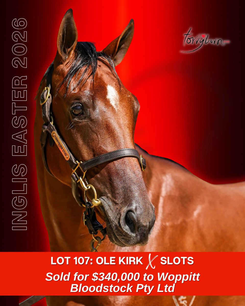 Torryburn Stud tweet media