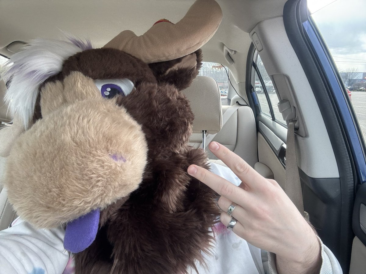 Moose 🔞🔞 AD tweet media