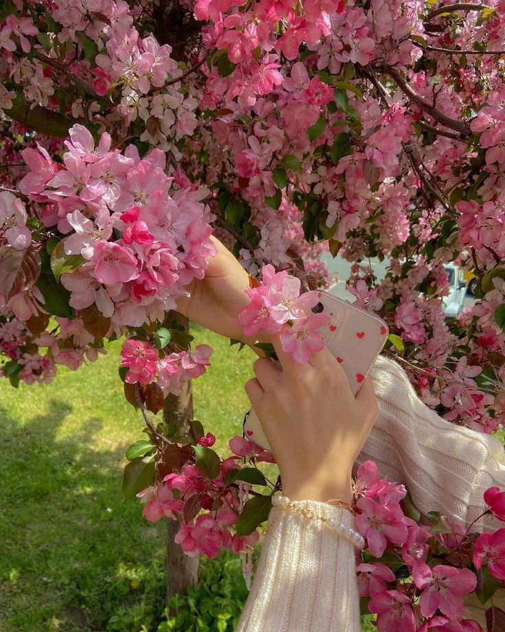 🇱🇧فاتيما🇱🇧 tweet media