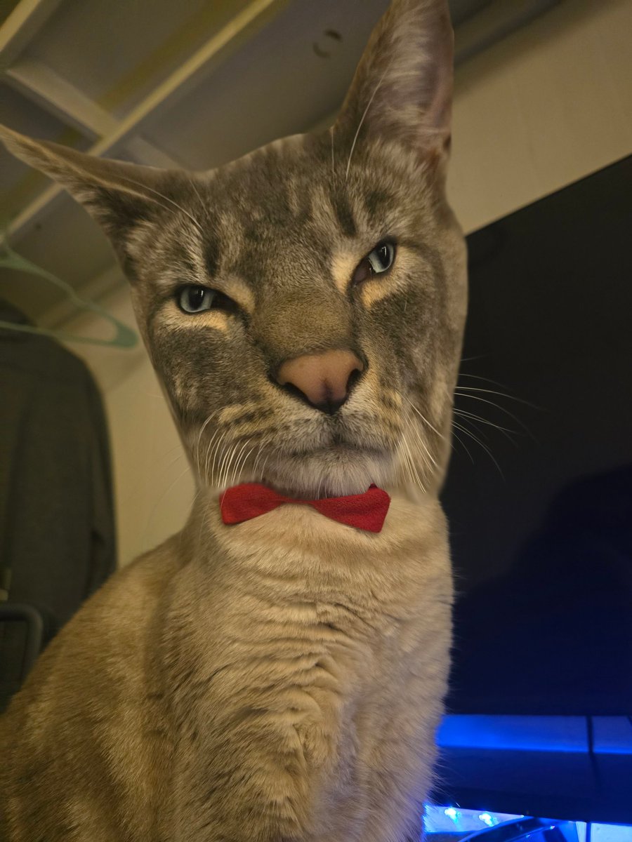 BoneBagooner tweet media