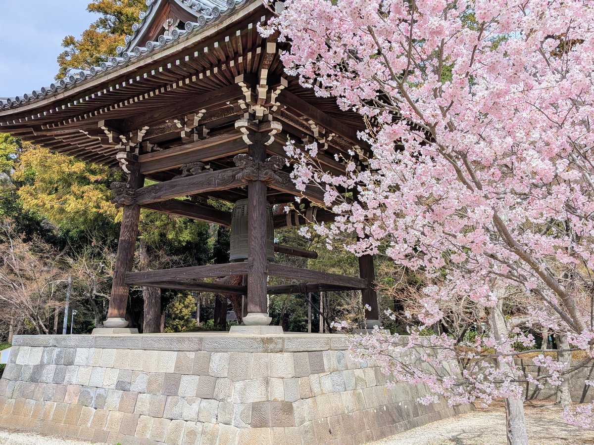 高屋ちひろ@ヴァイオリン製作 tweet media