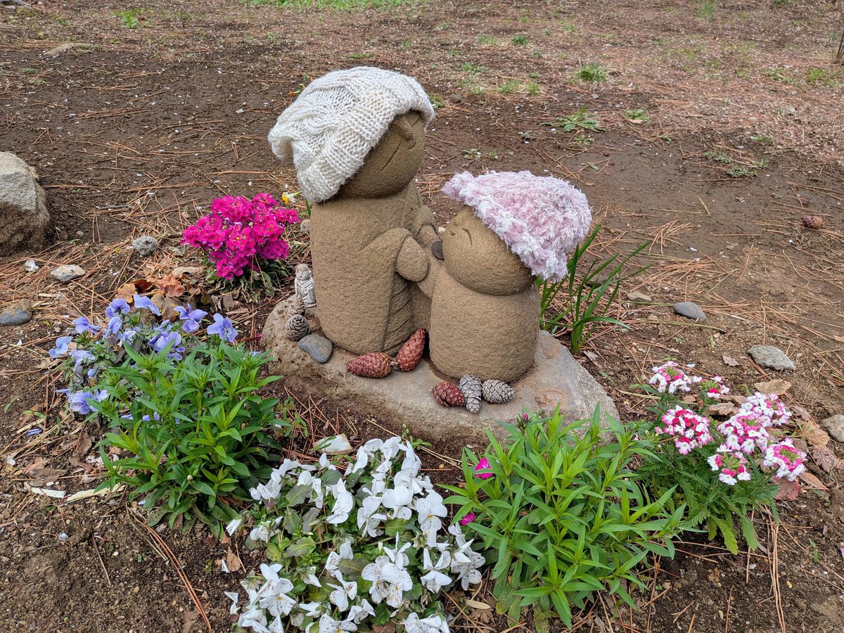 高屋ちひろ@ヴァイオリン製作 tweet media