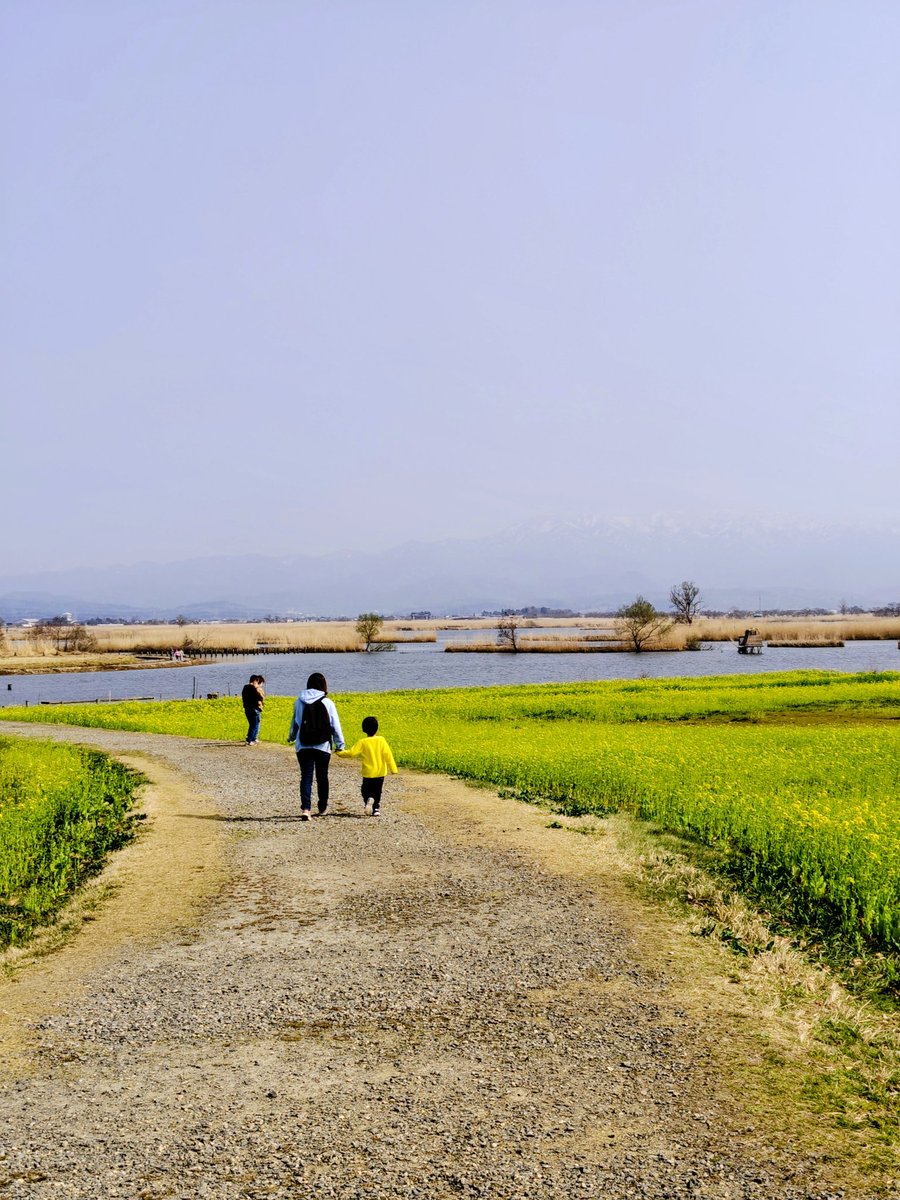 ヒロ@健康.冷え性オタク tweet media