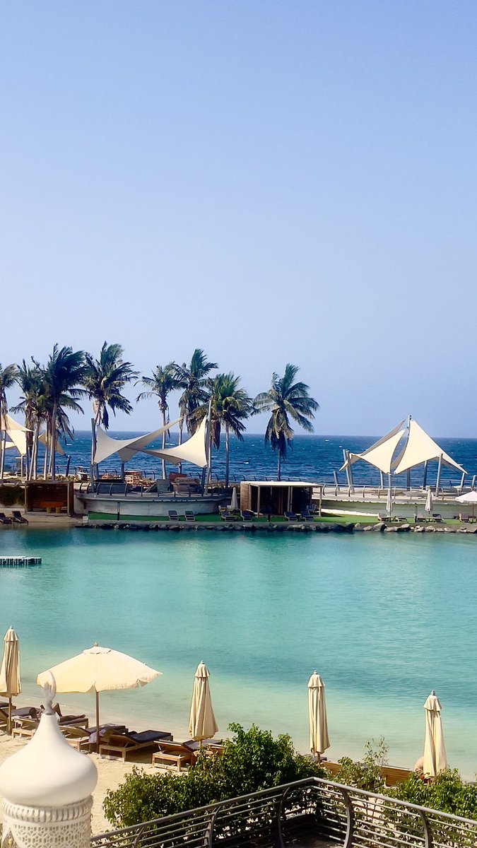 شــروق tweet media