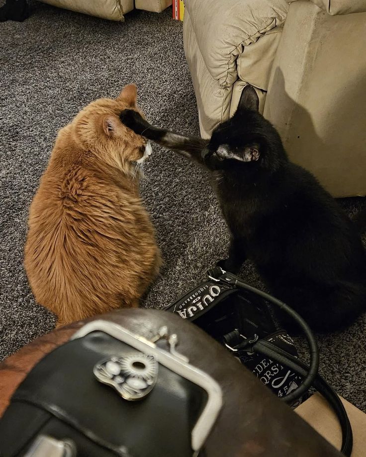 ลุงสิน tweet media