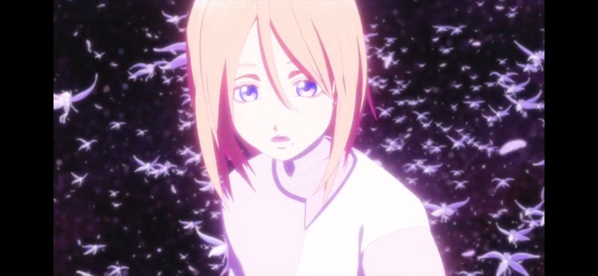 Noor Lakes tweet media