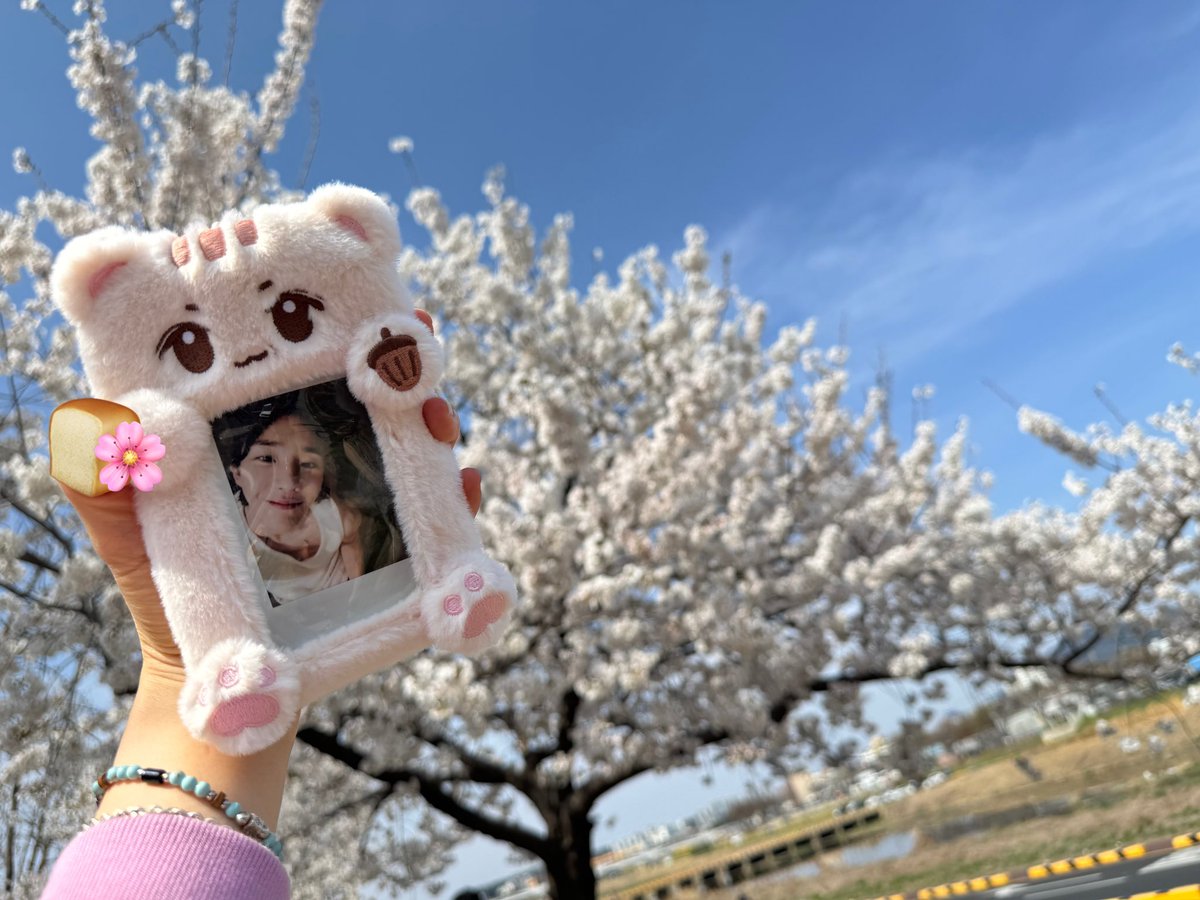 🍞🌸
덥고 사람은 많고 흑흑 그래도 꽃구경 완😌