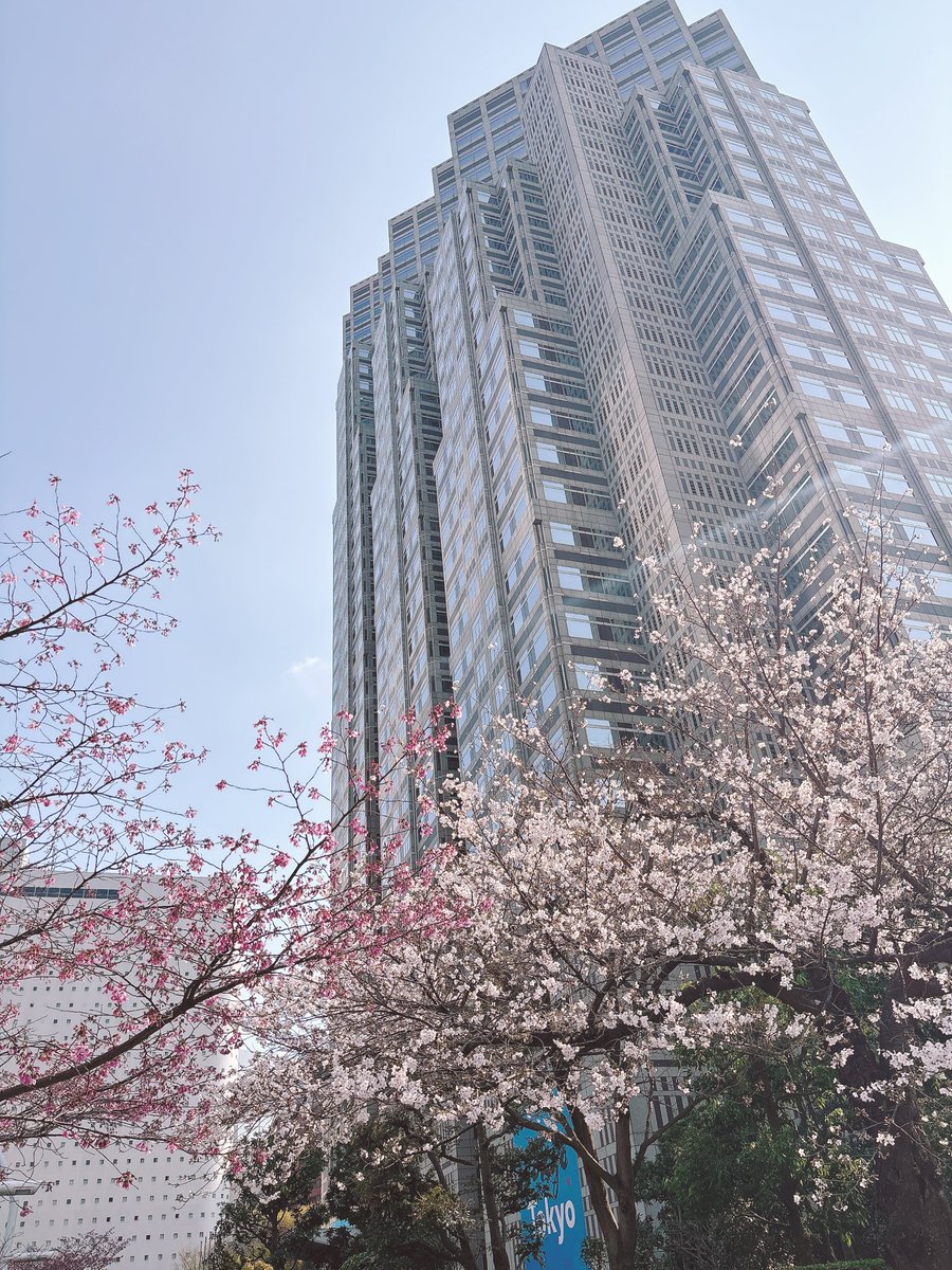 えった❖🥳🥳🥳 tweet media