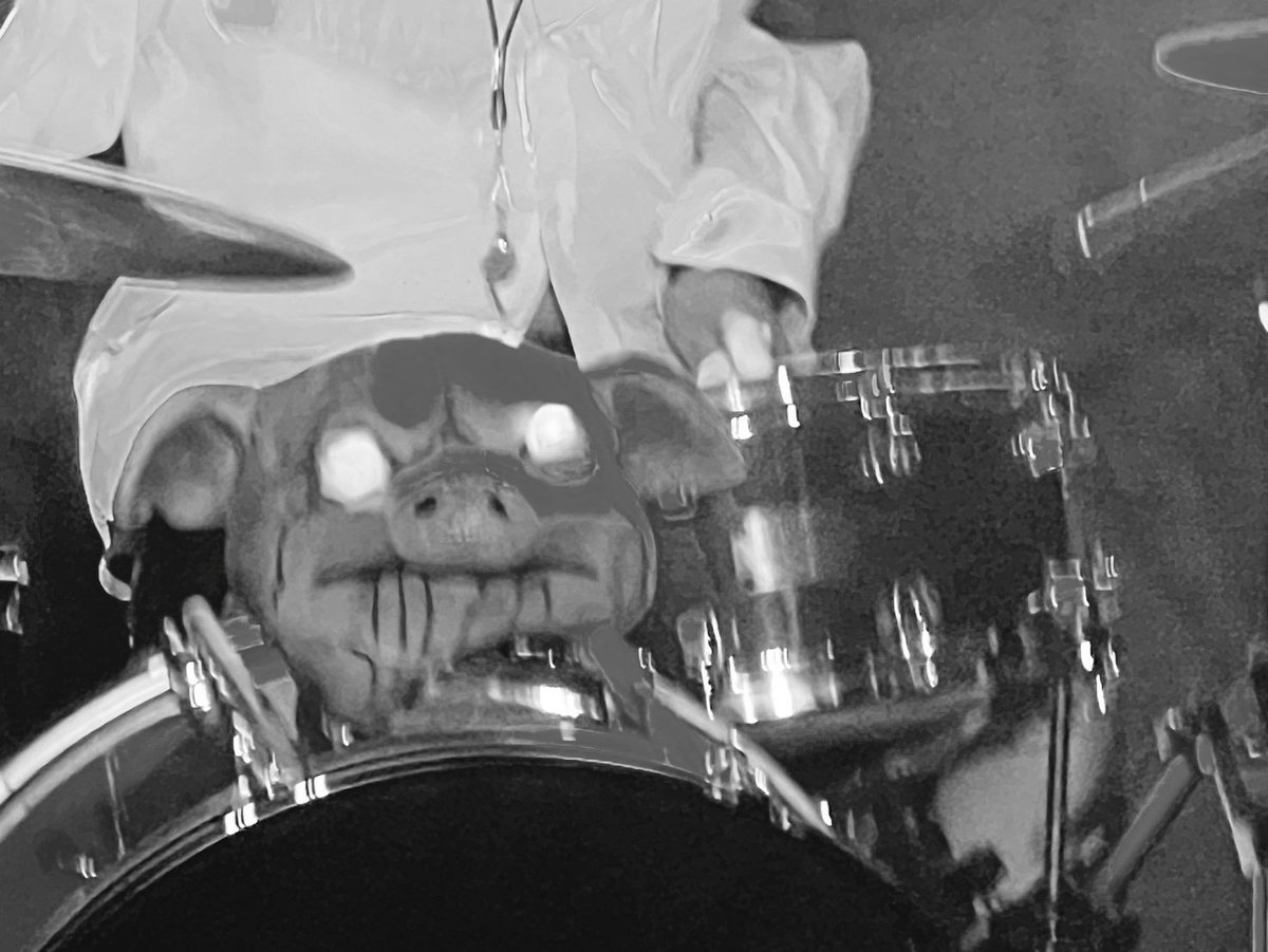 POCKY@ベルボトム番長 tweet media