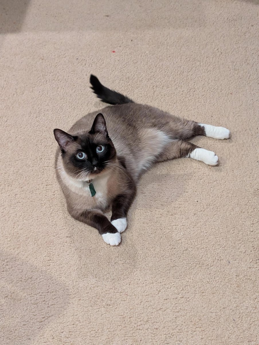 Amy Perrin tweet media