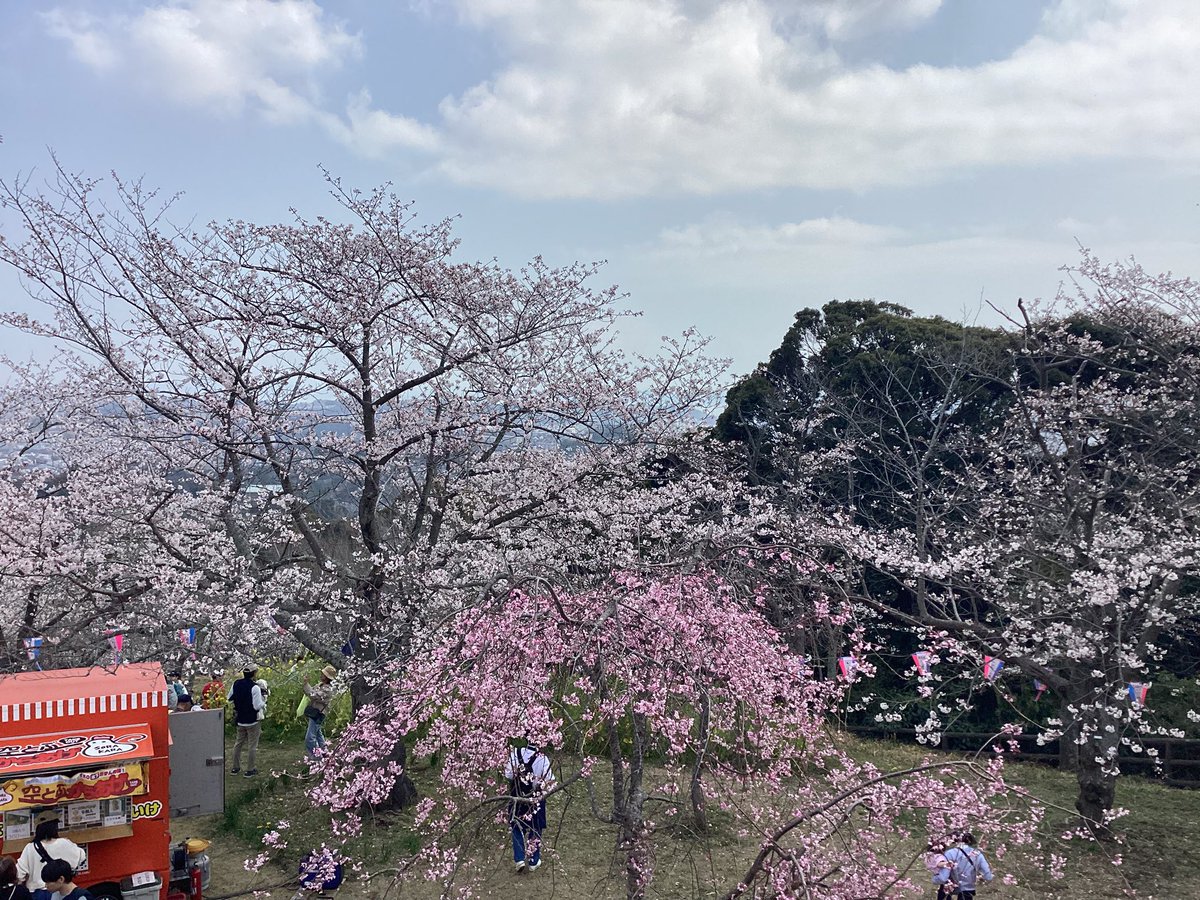 「久し振りに衣笠山公園登ったです。」|真オーゼ（(@_@))のイラスト