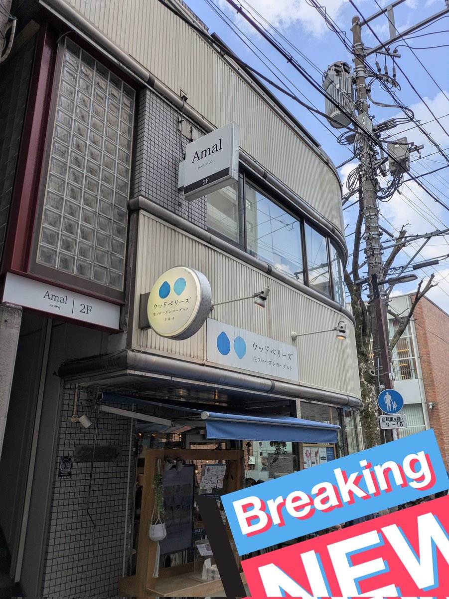 ネモッチ tweet media