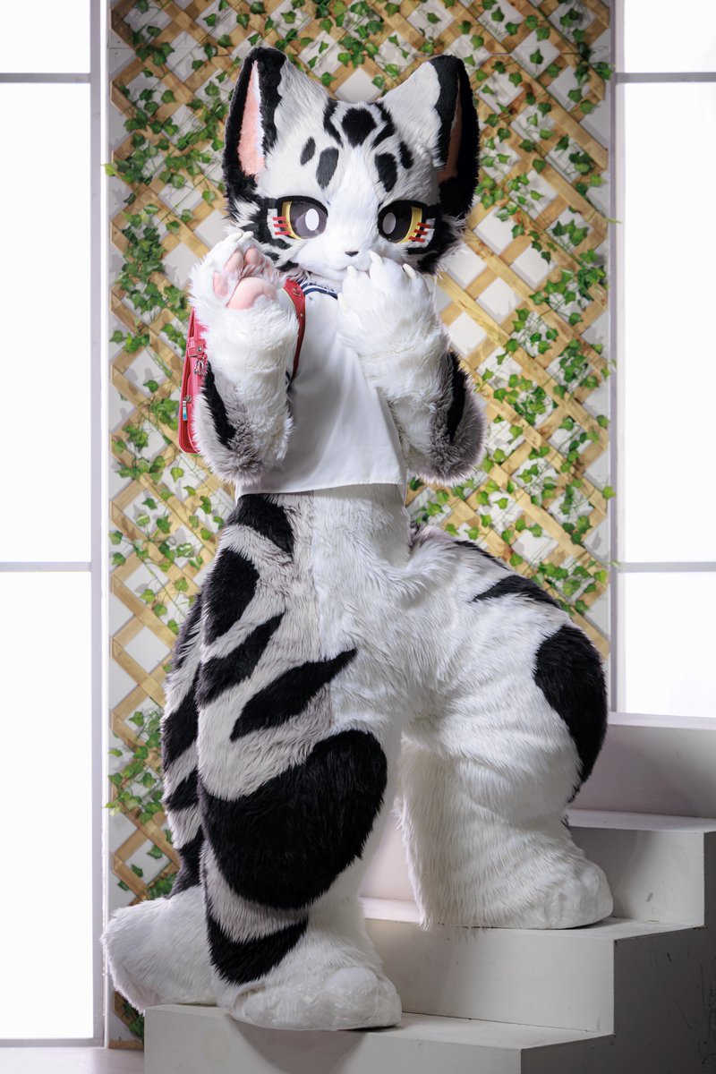 起司🔜FurryJoa tweet media