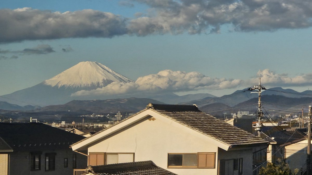 Michael(Poltfan)((JapanDayTripper)) tweet media