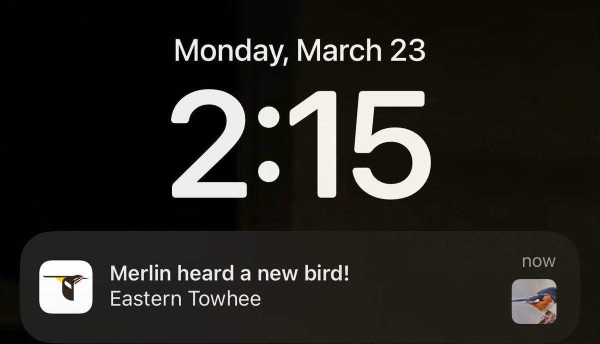 mochferatu tweet media