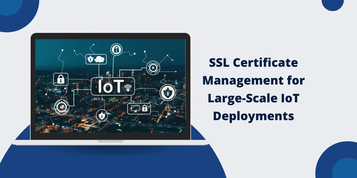 SSLInsights tweet media