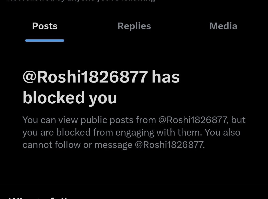 KatanaLeon tweet media