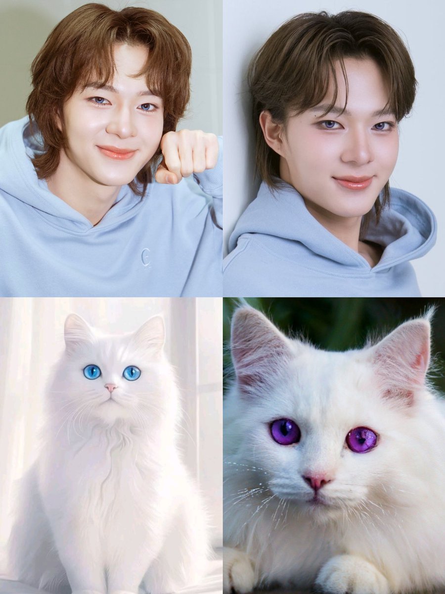 popeye 🌻🌷🌼 tweet media