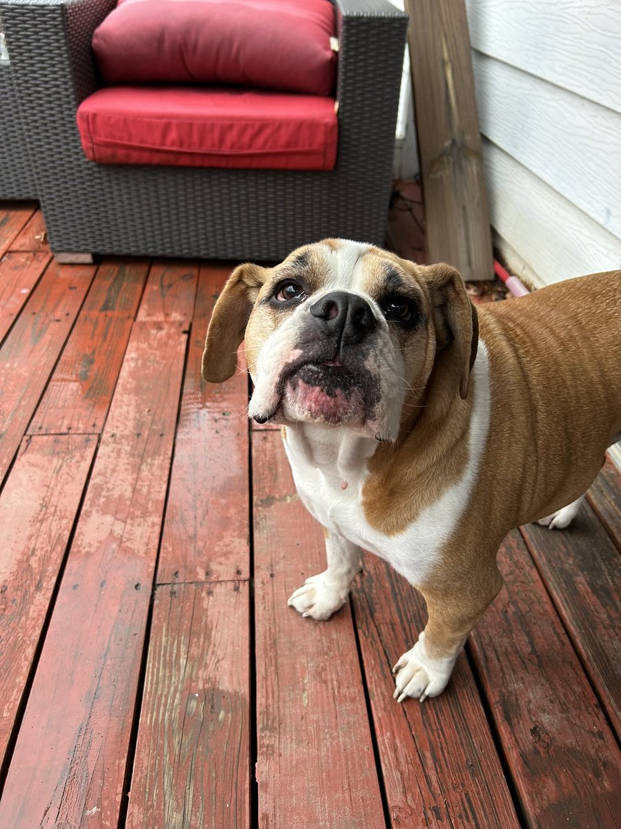 Mike Hawk tweet media