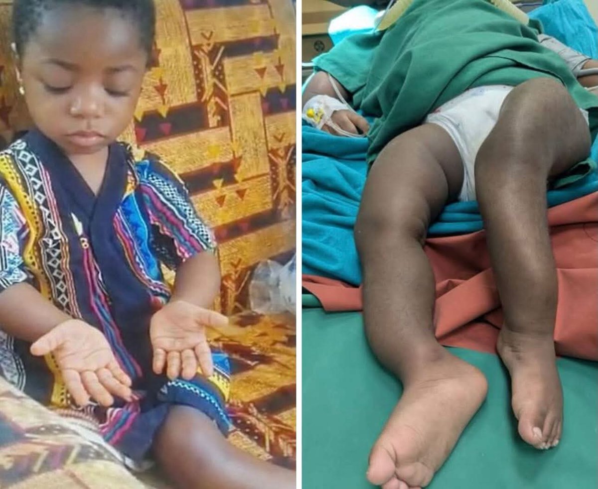 Polycarp The Bibliophile tweet media