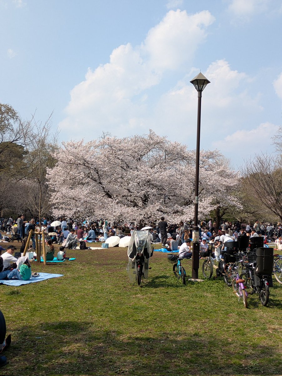 ぎーがー＠ゲーム用 tweet media