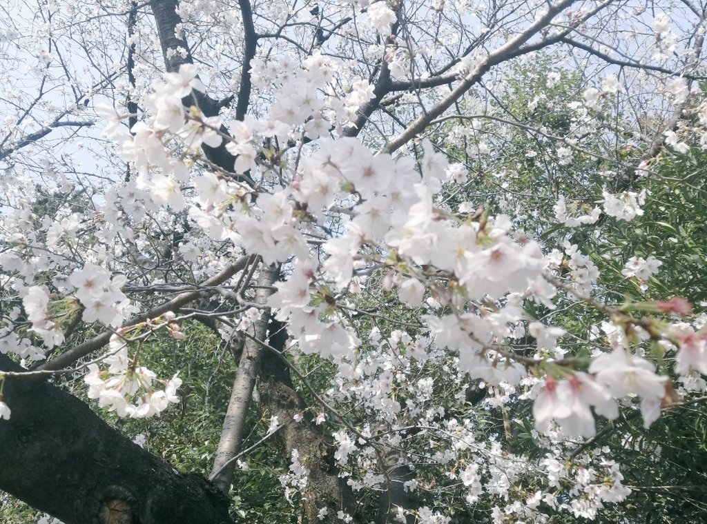 Mi3𓅪𖤣𖥧𖥣𖡡𖥧𖤣 tweet media