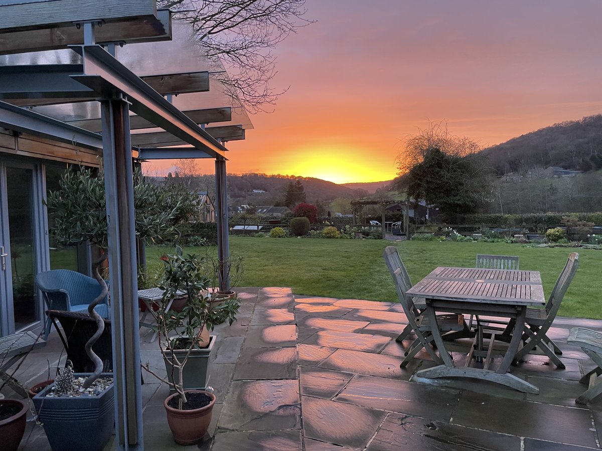 Early morning garden view, clocks spring forward, cool, damp &amp; still.