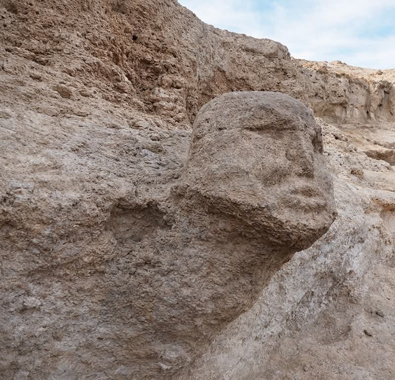 Archaeo - Histories tweet media