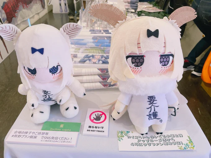 プニキの個展にお邪魔してきました! 複製原画の特殊な加工がキラキラしてたりふわふわなマットだったりと見応えありました! 土日は今日で最後なので、虫好きな方もぜひ行ってみてください! #熊野プラン個展