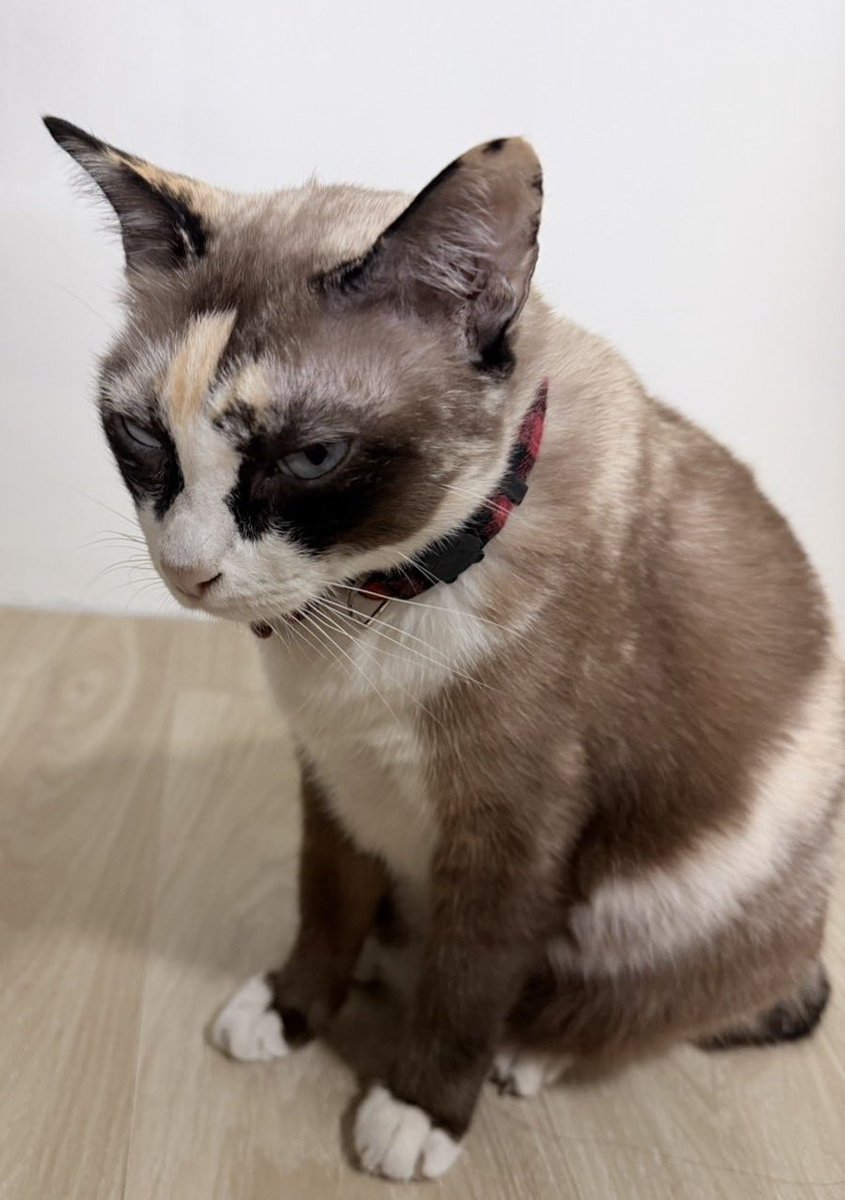 🚲27July XiaoZhan can ride a bicycle🚲 tweet media