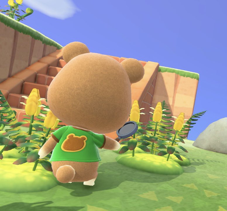 まいすけ(茶)🍵 tweet media