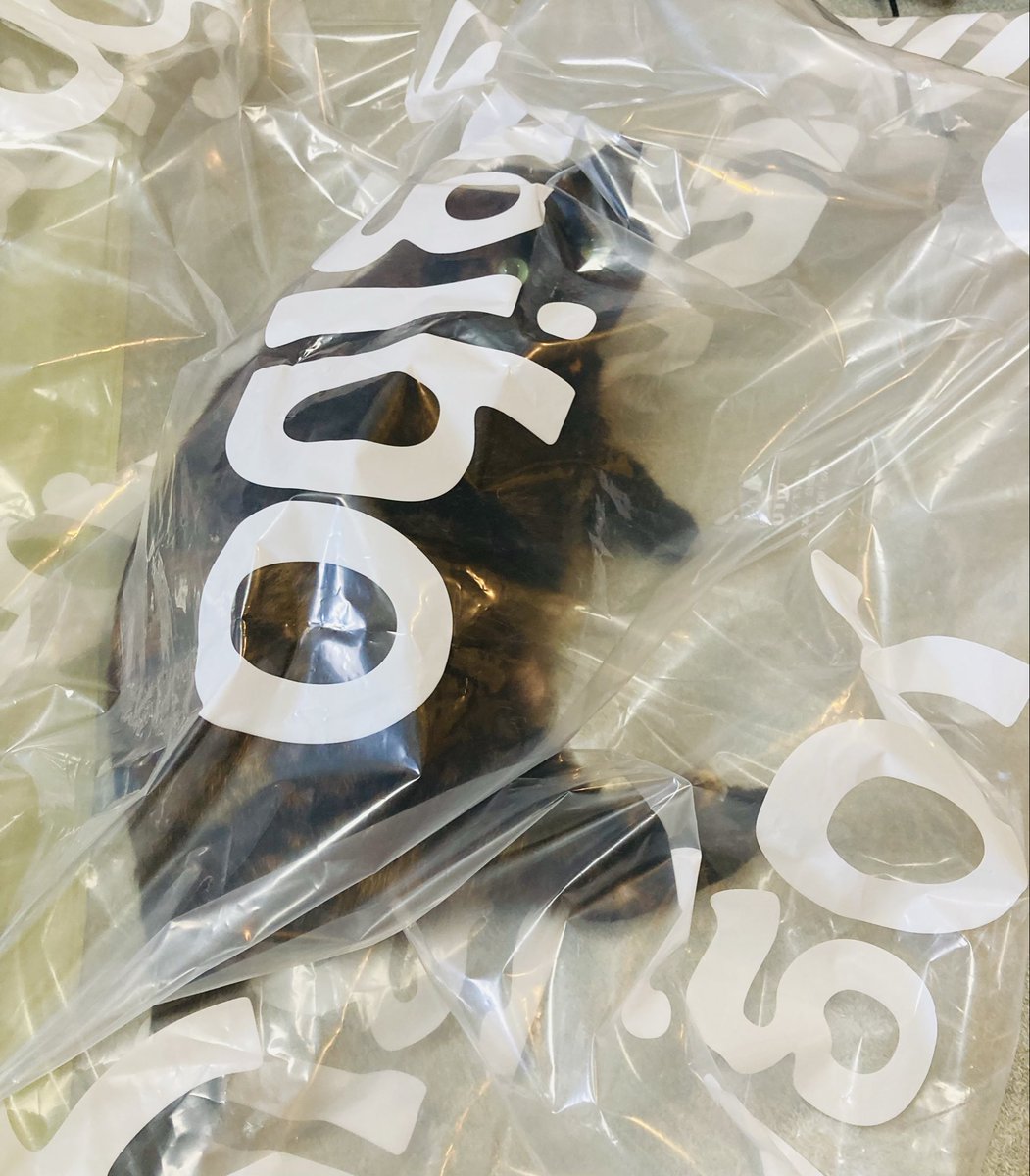 づも(zumo)🎨お仕事・ご依頼募集ちゅう tweet media