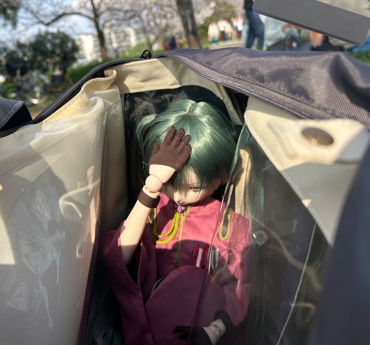 ちょび tweet media