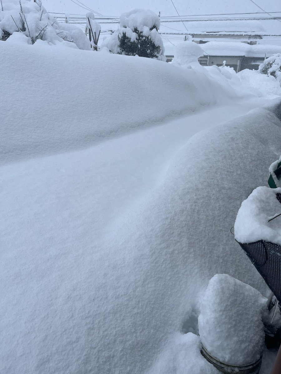 マー君 tweet media