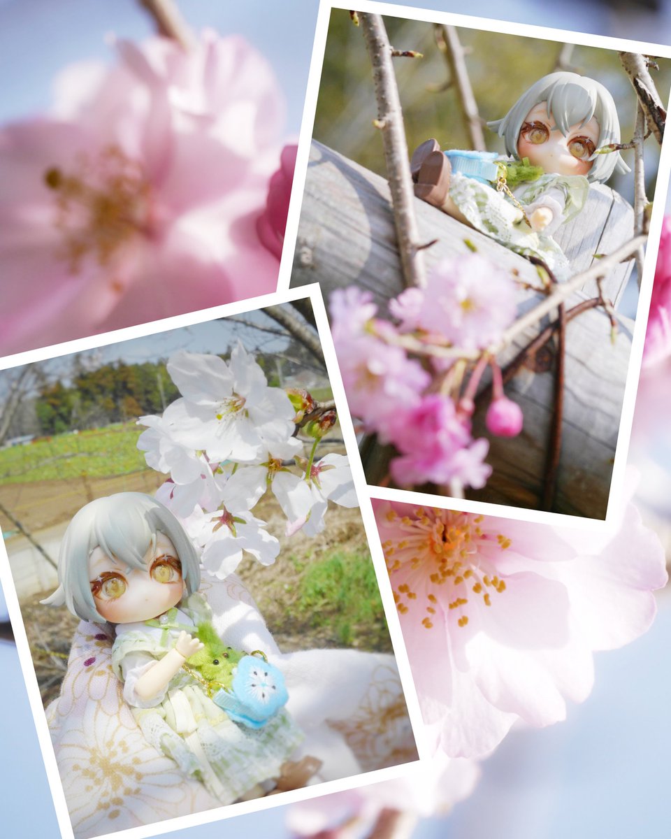 さちー tweet media