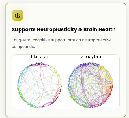 ioci (고전파) tweet media