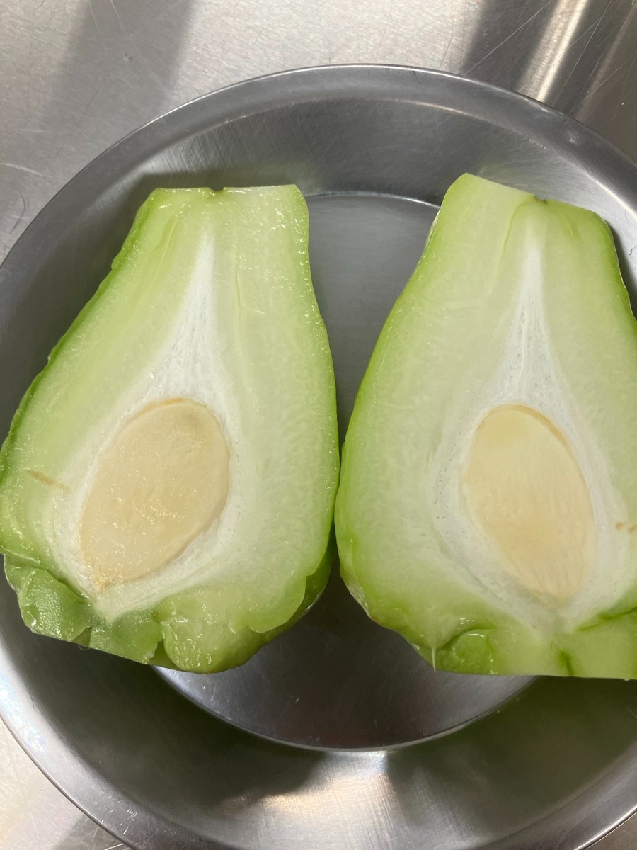 🇯🇵Itaru OGATA|在外公館料理人|🇨🇩RDC tweet media