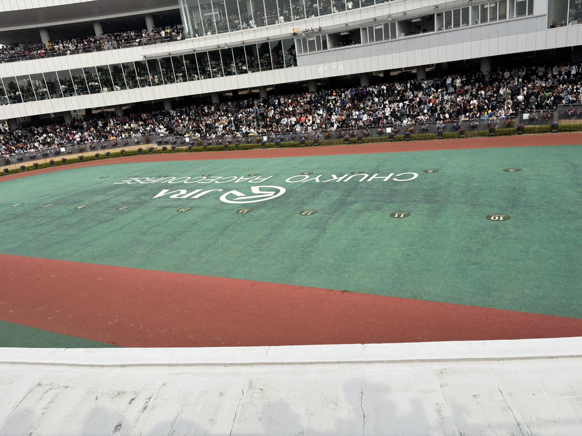 はるま ちくさ◎貯石 tweet media