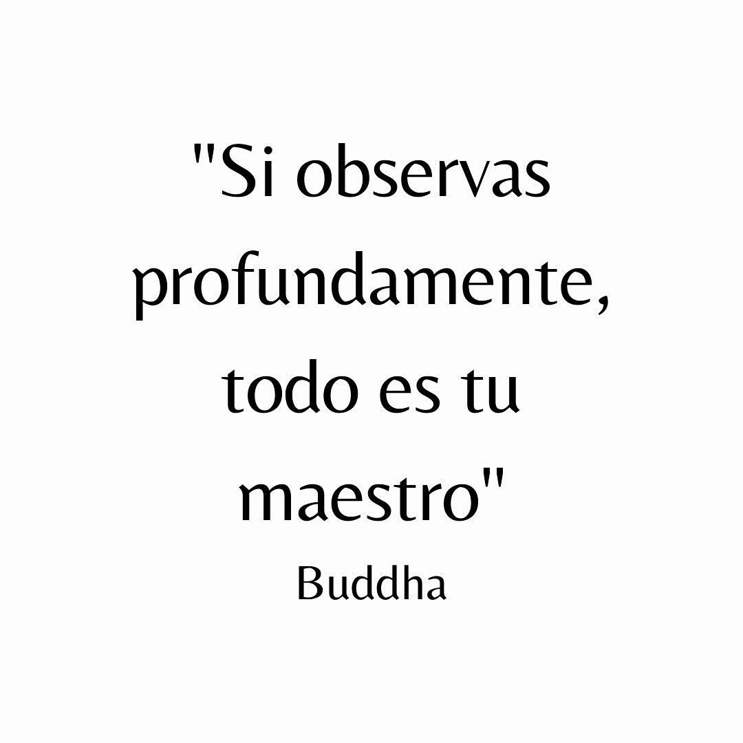 FilosofiaStoica's tweet photo. https://t.co/EcOwwDLuJY